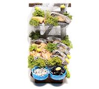 Holyart Banco del Pesce 10x5x10 cm presepe Napoletano 10 cm
