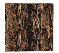Holyart Carta plasmabile Sughero Corteccia 30x30 cm per presepi