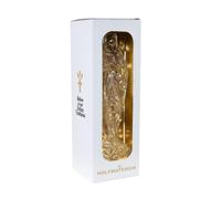 Holywatergin ASTUCCIO DELUXE Gin Italiano con Iconica Bottiglia a Forma di Madonna, Profilo Sensoriale Unico, con l'Aggiunta di Iris, Pino, Acqua Distillata di Mare e Incenso, 50 cl, 42,5% Vol