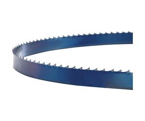 holzstar Lama per sega a nastro