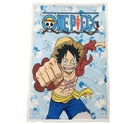 HÔMADICT Plaid Sherpa One Piece - 100 x 150 cm - Coperta in Pile Morbida e Calda, qualità Elevata e Confortevole, Licenza Ufficiale