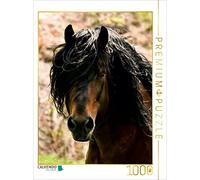 Homberg Simone - Puzzle "Calvendo Foresta nera" con puledro di sangue freddo, 1000 pezzi, dimensioni: 48 x 64 cm