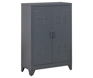 HOMCOM Armadio Portadocumenti a 2 Ante in Metallo, Schedario da Ufficio con Ripiani Regolabile a 17 Altezze, Mobiletto Multiuso Portaoggetti, per Ufficio Studio Casa Garage, 75x33x110 cm, Grigio