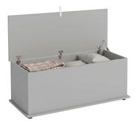 HOMCOM Cassapanca grande 113L Portacoperte 100x40x40cm, Grigio