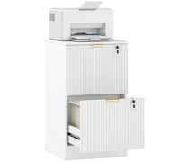 HOMCOM Mobile archivio a 2 cassetti, mobile archivio verticale scanalato con serratura e guide regolabili per cartelle formato A4 e Letter, supporto per stampante con contenitore, bianco