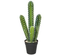 HOMCOM Pianta artificiale di cactus, 53 cm, piante artificiali in vaso, cactus a colonna, falsa pianta come vera per casa, ufficio, regali di inaugurazione della casa, decorazione