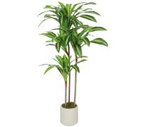 HOMCOM Pianta Artificiale di Dracena in PEVA e Legno 60x40x120 cm Verde