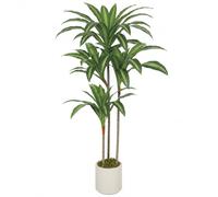 HOMCOM Pianta Finta di Dracena in PEVA e Legno 60x40x120 cm Verde
