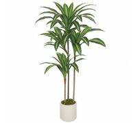 HOMCOM Pianta Finta di Dracena in PEVA e Legno 60x40x120 cm Verde