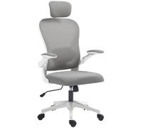HOMCOM Sedia da Ufficio Ergonomica con Braccioli Ribaltabili, Supporto Lombare Regolabile, Grigio Aosom Italy