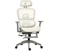 HOMCOM Sedia da Ufficio Ergonomica con Rivestimento in Rete, regolabile, con rotelle, braccioli e poggiatesta, Beige Aosom Italy
