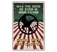HomDeo Decorazione da parete in metallo, 20,3 x 30,5 cm - Hunger Games May The Odds Be Ever in Your Favor Sign Targa in metallo personalizzata