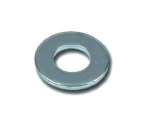 Home Colapasta con Base, 21 cm, Acciaio Inossidabile