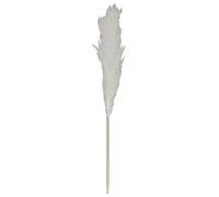 HOME DECO FACTORY, HD0042, Pianta Artificiale Naturale di Pampa H120 cm - Elegante e Resistente, Ideale per la Decorazione di Interni, Facile Manutenzione, Colore Beige
