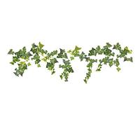 Home Decor Adesivi Wall Decor M Ivy