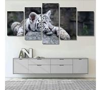 Home Decor Tela Stampata Poster 5 Pezzi Cucciolo Di Tigre Bianca A Riposo (Senza Cornice 150 X 100 Cm) Arte Da Parete Yacht Quadri Moderni Pittura Per Soggiorno Camera Da Letto Sala Da Pranz-1J1V+M7Q