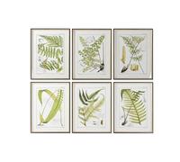 Home ESPRIT Quadro Moderno Felce 50 x 2,5 x 65 cm (6 Pezzi)