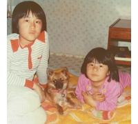 home in the desert-Import USA)