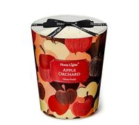 Home Lights Candele di cera di soia per la casa profumate in vetro, candele a 3 volte, candele per aromaterapia, regalo per feste, 960g (Frutteto di mele)