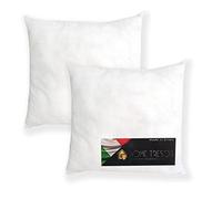 Home Tresor - Imbottitura Anime per Cuscini Set 2 Pezzi | Coppia Imbottitura Anallergica Traspirante Super Soffice Cuscino Arredo Interno Divano Letto Poltrona da Rivestire (50x50 cm)