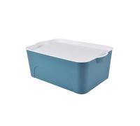 Homéa Essentiel Box con coperchio in plastica, 16 l, blu e bianco, L 40 x L 27 x H 15 cm