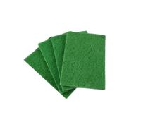 Homéa, Set di 4 tamponi raschianti, 15 x 10 x 0,5 cm