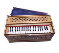 HomeAdri Musicals Harmonium 9 Stopper, Chudidaar Bellow, 42 Chiavi, Due Ance, Basso Maschio, Kapler, Armonio Con Coperchio (Crema Scuro), Strumenti Musicali