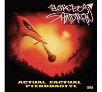 Homeboy Sandman - Actual Factual Pterodactyl