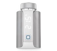 Homematic IP HmIP-eTRV-ES termostato RF Grigio