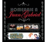 Homenaje a Juan Gabriel/Variou
