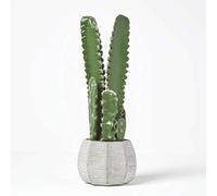 Homescapes Cactus artificiale in vaso di ceramica, grande pianta artificiale succulente - San Pedro cactus alto circa 50 cm, ottima decorazione per tavolino, scrivania o davanzale