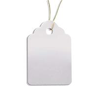 HomeTools.eu - 100 Etichette per Piante con asola, Ideali per Piante, Alberi e cespugli, in plastica, Misura 3,5 x 2,5 cm, Resistenti alle intemperie