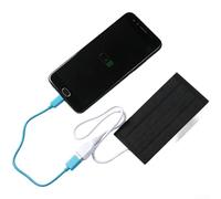 HomeVortex Caricatore da pannello solare monocristallino da 2 W con uscita USB, modulo di alimentazione portatile da 5 V per luci a LED e piccoli ventilatori, design compatto 120 x 60 mm, per giardino