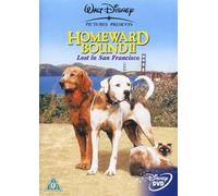 Homeward Bound 2: Lost in San Francisco [Edizione: Regno Unito]