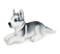 HOMEXYLYL Peluche Forma Cane Husky, Realistico Animale Pezza Graziosi Occhi Azzurri Morbido Cuscino Coccolare Regalo Compleanno Natale Arredamento Casa Bambini Adulti Ragazze Ragazzi(Lying)
