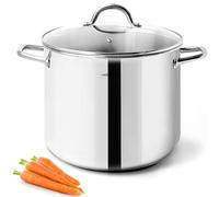 HOMICHEF Pentola in acciaio inossidabile senza nichel da 9,5 litri con coperchio in vetro - Pentola compatta e salutare con finitura lucida a specchio per cottura a induzione (24,5 cm)