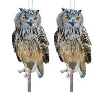 Homo Trends 2 Pezzi spaventapasso per Balcone, spaventapasseri volatili, Repellente per piccioni, piccioni, piccioni, espellere piccioni Piatti in plastica Gufi con Nastro di Difesa per Uccelli