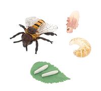 HOMOBABE 1 set Del Ciclo delle Api Giocattoli Cognitivi per Educazione Naturale Artificiali Sicuri e Facili da Stimola e