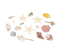 HOMOBABE 1set Decorazioni per Acquario con Conchiglie Naturali di Mare di Conchiglie per Paesaggi e Tema Marino per Decorare Acquari e Giardini Miniaturizzati
