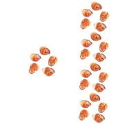 HOMOBABE 25pezzi Gusci di Lumaca Naturali per Cucina Sicuri e Spessi per Preparare Escargot al Forno Stile Francese Perfetti per Ristoranti e Cene Gourmet