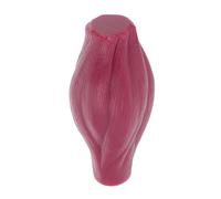 HOMOBABE Modello Muscolare da 1 Libbra in Silicone Morbido, Torso Muscolare Compatto per Studio Anatomico, Strumento Didattico per Educazione Scientifica e Appassionati di Fitness