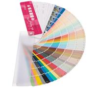 HOMOCONO Mazzetta Colori Pittura Carta Campioni Vernice 258 Colori Universale Palette Professionale Per Disegno E Progetti Edili 8X2 Pollici Plastica E Combinata