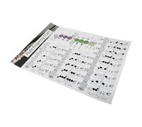 HOMOCONO Tabella degli Accordi per Flauto per Principianti su Carta Patinata, Strumento di Pratica e Supporto per L'apprendimento del Flauto Facile