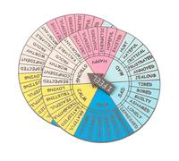 Homoyoyo 2 Pezzi Distintivo della ruota delle ruota dei sentimenti tuo emozione smalto Umore ostetrica mestiere di ruota portatile ruota decorativa ruota delle sensazioni lega