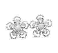 Homoyoyo 2 Pezzi fibbia per scarpe con fiori a cinque petali Clip di strass per le scarpe fibbia per scarpe a fiore decorazione di scarpe di cristallo Lega di zinco Silver