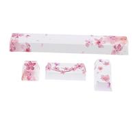 Homoyoyo 4pezzi Copritasti Per Computer in Pbt Di Kit Di Sostituzione Elegante Per Tastiera Meccanica Resistenti Allo Scolorimento