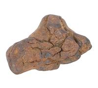 Homoyoyo Campione di scienze meteorite arredamento da tavola Adormento del tavolo campione di meteorite rocce roccia meteoritica minerali arredamento della stanza delle scienze modello