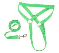 Homoyoyo Capezza Regolabile in Nylon con Corda per Addestramento Bestiame Capre e Vitelli Fibbia a Sgancio Rapido Materiale Resistente per Uso Agricolo All’Aperto