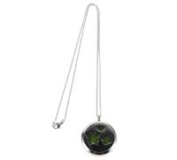 Homoyoyo Collana Diffusore di Oli Essenziali a Forma di Farfalla in Acciaio Inossidabile 30 MM Medaglione Profumato per Aromaterapia Portatile da Donna Ciondolo Gocce di Olio per Uso
