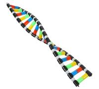 Homoyoyo Kit di Dna, Kit Molecolare a Doppia Del di Dna, Struttura Didattica per L'insegnamento E L'apprendimento Delle Scienze Degli Studenti Delle Scuole